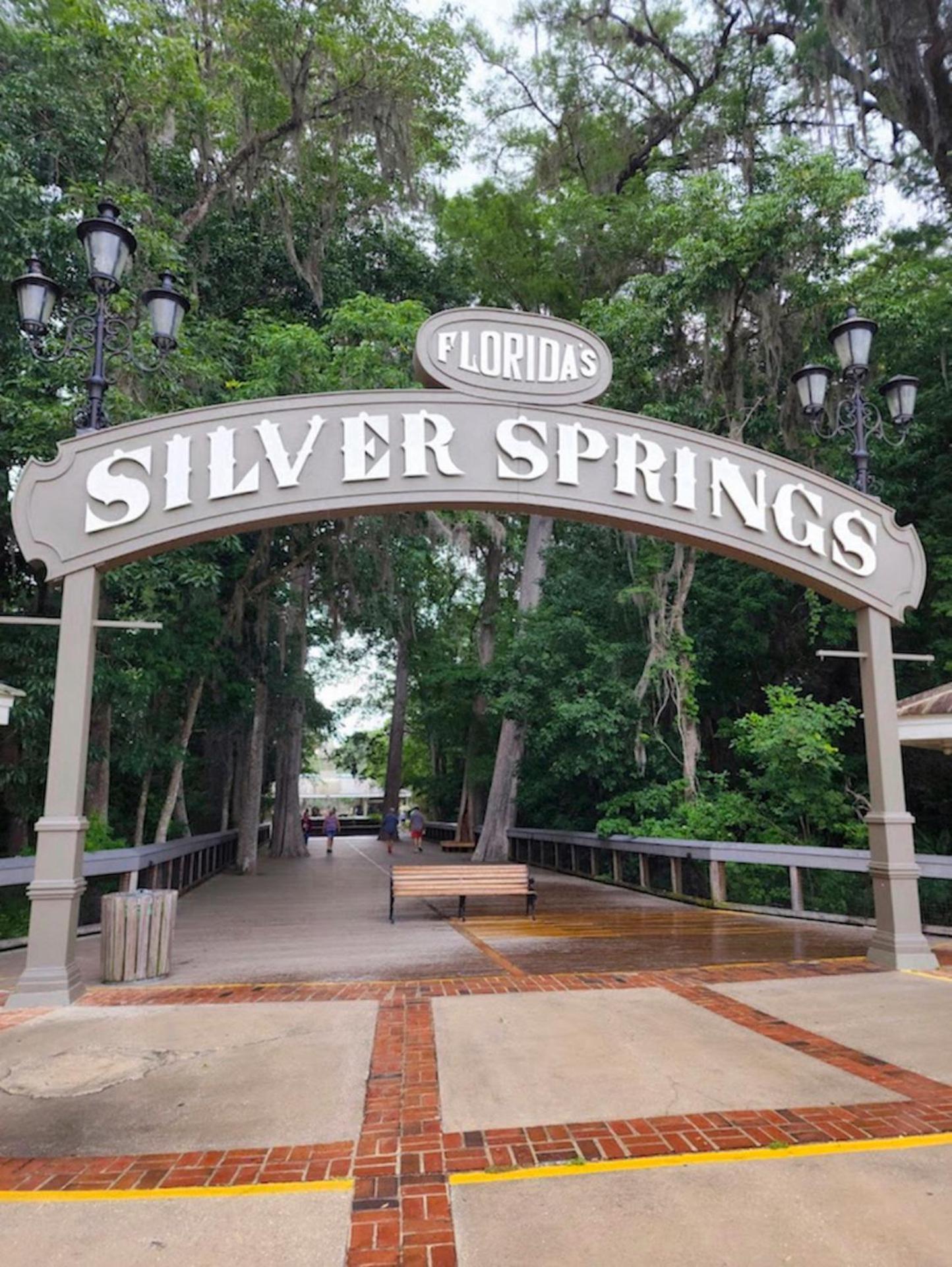Private Home In Ocala With Fenced Yard, Piano, Central Location, Pets Welcome Extérieur photo