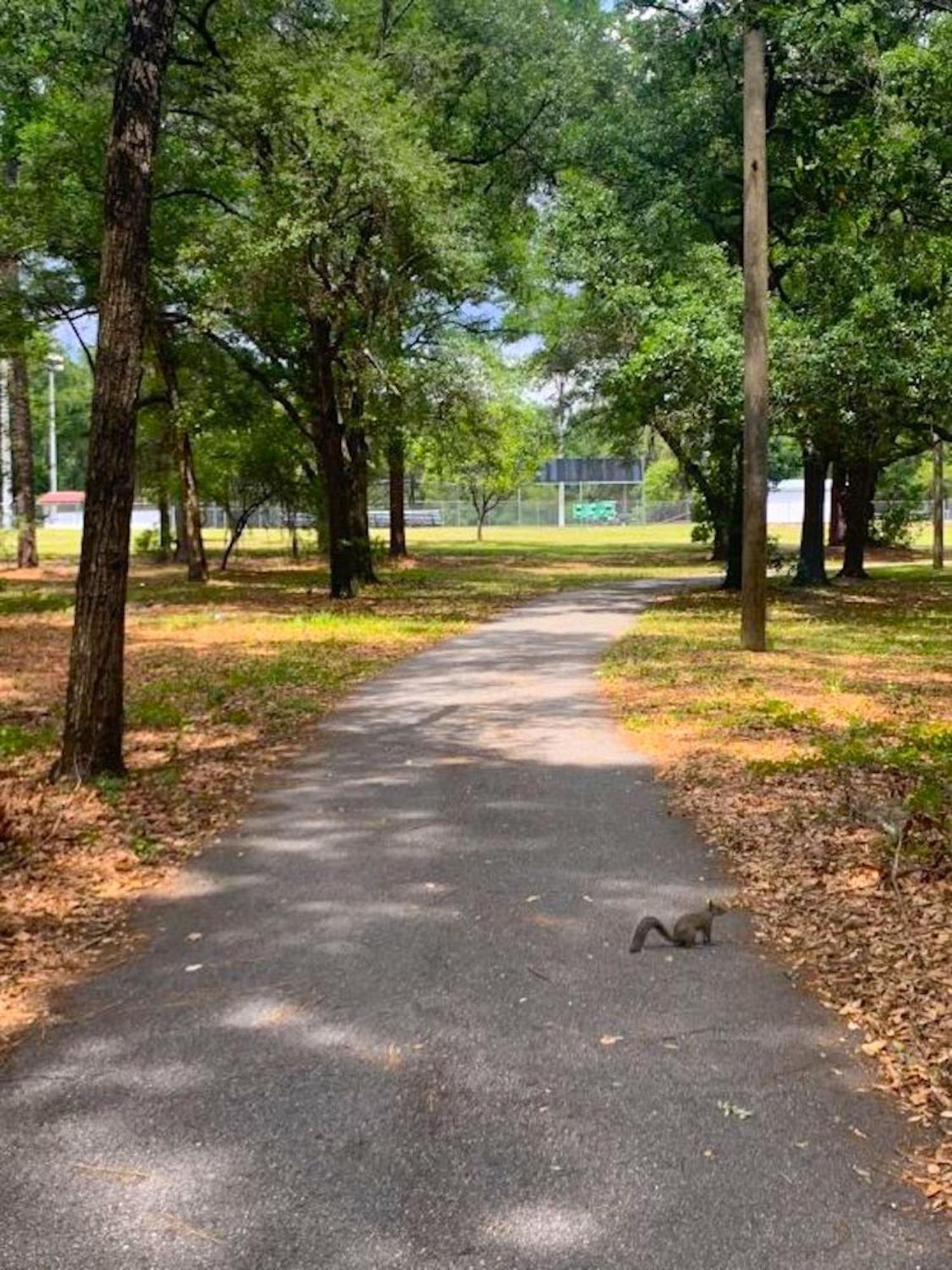 Private Home In Ocala With Fenced Yard, Piano, Central Location, Pets Welcome Extérieur photo
